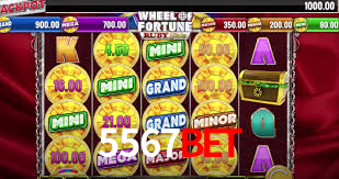 5567 Plataforma